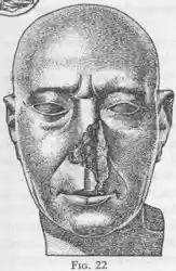 troe-fig22